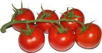 /album/eccofruta/tomate-rama-jpg/